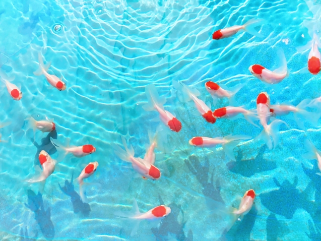 夏季休暇のお知らせ ビーズ・デザイン 2024